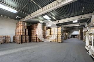 Gewerbeimmobilie mieten in 21435 Stelle, Beheizbares Logistik/-Umschlagslager mit ca 1.200 m² (Rampe + ebenerdig) an der A1 zur Miete