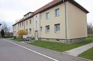 Wohnung mieten in Arndtstraße, 39387 Oschersleben (Bode), Zweiraumwohnung, saniertes Bad und überall Tageslicht!