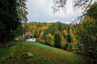 Haus kaufen in 78730 Lauterbach, Lauterbach - Wohnen im Einklang mit der Natur: Schönes Schwarzwaldhaus mit großem Grundstück in Lauterbach