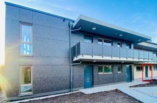 Wohnung mieten in 49586 Neuenkirchen, Schöne Neubauwohnung zum Erstbezug - Moderne Architektur trifft auf ideale Wohngegend!