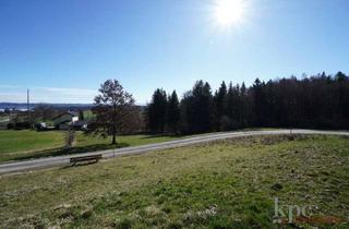 Grundstück zu kaufen in 82327 Tutzing, Tutzing/Unterzeismering - Wald- und Wiesenfläche oder Weidegrund mit Seeblick!