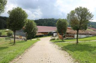 Bauernhaus kaufen in 73479 Ellwangen, Ellwangen (Jagst) - Reiterhof für Pferdezucht im Ostalbkreis