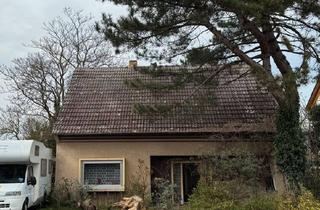 Haus kaufen in 55232 Alzey, Alzey - Ein- Zweifamilien Wohnhaus mit großem Garten