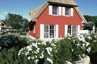 Haus kaufen in 18551 Sagard, Sagard - Ferienhaus - traumhaft gelegen zwischen Bodden und Ostsee
