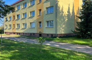 Wohnung mieten in Dammstr., 39615 Schönberg, 2 Zimmer Wohnung zu Vermieten. Auch über Arge möglich