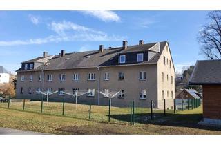 Wohnung mieten in Erbgerichtsstraße, 09488 Thermalbad Wiesenbad, helle 2-Raum-Wohnung mit Pelletetagenheizung