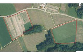 Immobilie kaufen in 87769 Oberrieden, Biologische Ackerflächen nordwestlich von Mindelheim im schönen Allgäu