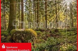 Gewerbeimmobilie kaufen in 86513 Ursberg, saftiges Waldgrundstück in Ursberg-Mindelzell