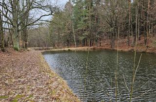 Immobilie kaufen in 92705 Leuchtenberg, Idyllisch gelegenes Wald- und Teichgrundstück bei Leuchtenberg zu verkaufen