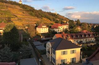 Immobilie mieten in Moritzburger Straße 45, 01445 Radebeul, Helles möbliertes Apartment mit Weitblick in Radebeul