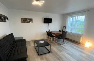 Immobilie mieten in Schützenstraße 41, 72555 Metzingen, schönes Apartment /Wohnung im Outletcity Metzingen