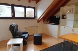 Immobilie mieten in Waldstraße 48, 69168 Wiesloch, Sehr ruhiges Apartment - 45 qm - Voll ausgestattet - Nähe SAP