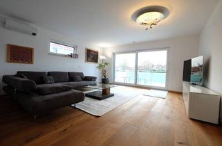 Immobilie mieten in Am Kirschberg, 67550 Worms, Neue, komplett eingerichtete 2 Zimmer Penthousewohnung