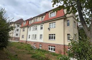 Wohnung mieten in Chemnitzer Straße 20, 09599 Freiberg, Rarität 5 Raum Erdgeschoß Wohnung hochwertig saniert, mit großem Balkon und Blick über den Tierpark