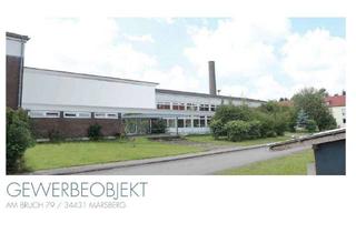 Gewerbeimmobilie kaufen in Am Bruch 79, 34431 Marsberg, Gewerbehalle mit PV Anlage + Baugrundstück *Sanierungsbedürftig*