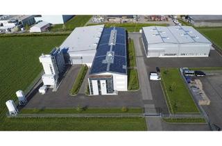 Immobilie kaufen in 79379 Müllheim, Gewerbeareal im Industriegebiet – Perfekte Anbindung an die A5 und Bahn