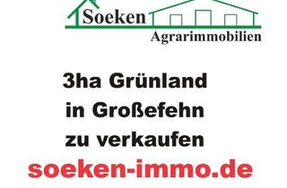 Gewerbeimmobilie kaufen in 26629 Großefehn, Grünland in Großefehn-Akelsbarg zu verkaufen. HF2401