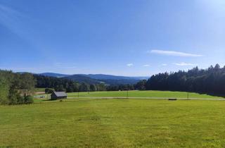 Grundstück zu kaufen in Fürholzer Weg, 94143 Grainet, Baugrund mit Fernblick in Südhanglage | Bayerischer Wald