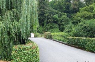 Grundstück zu kaufen in 84489 Burghausen, Zauberhaftes Grundstück mit eigenem Wald und Bachlauf in Burghausen