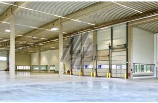 Büro zu mieten in 65553 Limburg, NEUBAU ✓ BEZUG AB 2025 ✓ Lager (15.000 m²) & Büro-/Mezzanine (2.500 m²)