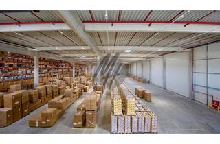 Büro zu mieten in 63128 Dietzenbach, KEINE PROVISION ✓ RAMPE + EBEN ✓ Lager-/Logistik (15.000 m²) & Büro (1.000 m²)