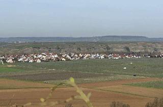 Gewerbeimmobilie kaufen in 74348 Lauffen, jede Menge Ackerland