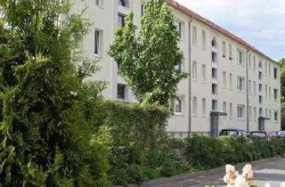 Wohnung mieten in August-Bebel-Straße 25, 02991 Lauta, 2-Raum-Wohnung in Laubusch