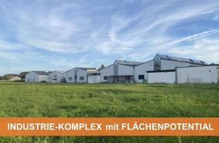 Gewerbeimmobilie kaufen in 56377 Seelbach, TOP-BAUSUBSTANZ ::: INDUSTRIE-KOMPLEX mit VIEL FLÄCHENPOTENTIAL
