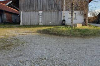 Grundstück zu kaufen in 86946 Vilgertshofen, Grundstück in Vilgertshofen OT Mundraching mit Altbestand