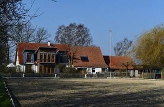 Bauernhaus kaufen in 49453 Barver, Barver - Komplett saniertes Bauernhaus mit Pferdeboxen und Reitplatz in Alleinlage