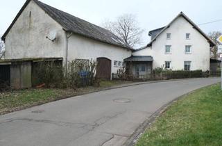 Haus kaufen in 54595 Prüm - Steinmehlen, Prüm - Steinmehlen - ländliches Wohnen, Wohneinheit in 2 Gebäuden, sehr ruhiger Ortsrandlage mit Fernblick bzw. Talblick , mit Baustelle