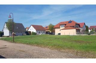 Grundstück zu kaufen in In Der Südlichen Au 31, 76889 Steinfeld, Bauplatz in der Südpfalz