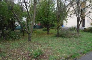 Grundstück zu kaufen in Dorfweg 22, 71711 Murr, Bauplatz in zentraler ruhiger Lage in Murr 71711 für Mehrfamilienhaus Doppelhaus