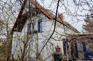 Bauernhaus kaufen in Winkel, 06188 Landsberg, Teilsaniertes Bauernhaus, mit Garage im ehem. Stallgebäude, auf einem großem Grundst