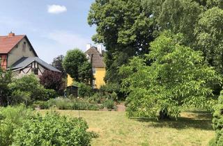 Grundstück zu kaufen in 99768 Ilfeld, Erschlossenes Baugrundstück mit ruhigem Garten, Blick auf Südharz in idyllischem Erholungsort