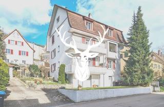 Haus kaufen in 79761 Waldshut-Tiengen, Waldshut-Tiengen - Schönes 3-Familienhaus mit Wertsteigerungspotenzial in attraktiver Lage von Waldshut zu verkaufen