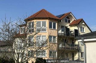 Mehrfamilienhaus kaufen in 74889 Sinsheim, *** Mehrfamilienhaus inklusive angrenzendem Bauplatz ***