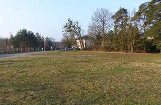 Grundstück zu kaufen in Waldsiedlung 1b, 17358 Torgelow, grosszügiges Stadtgrundstück am Waldrand