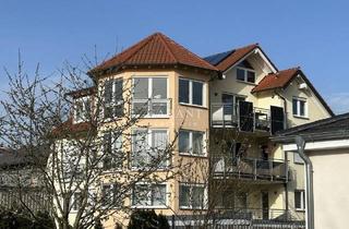 Mehrfamilienhaus kaufen in 74889 Sinsheim, Sinsheim - *** Mehrfamilienhaus inklusive angrenzendem Bauplatz ***