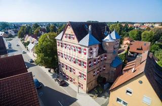 Gewerbeimmobilie mieten in 90537 Feucht, Arbeiten in historisch modernisiertem Schloss