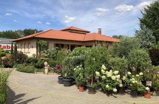 Gewerbeimmobilie kaufen in 67360 Lingenfeld, Exklusiv und einzigartig: Toskana-Haus mit Gewerbehalle