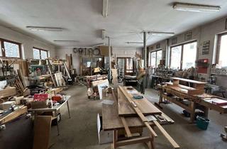 Gewerbeimmobilie kaufen in 55424 Münster-Sarmsheim, ****Halle + Wohnhaus auf Gewerbefläche****