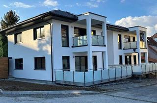 Haus kaufen in 74243 Langenbrettach, MFH mit 4 Wohnungen für Kapitalanleger KFW 1,2 % Zins Top Ausstattung sofort beziehbar