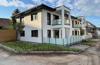 Haus kaufen in 74243 Langenbrettach, MFH mit 4 Wohnungen für Kapitalanleger KFW 1,2 % Zins Top Ausstattung sofort beziehbar