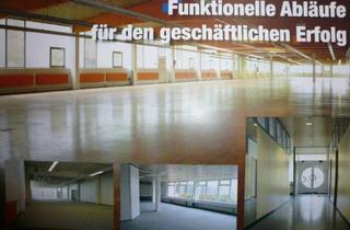 Immobilie mieten in 97953 Königheim, Hochwertige Gewerbeimmobilie mit Verwaltung/Bürotrakt