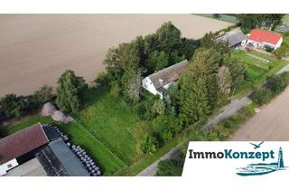 Haus kaufen in 17509 Rubenow, Naturidylle mit ca. 84m² Wfl & Nebengelass auf 3319m² großen Grundstück unweit von Wolgast & Lubmin!