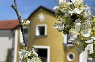 Haus kaufen in 82276 Adelshofen, Gegen Gebot: Ein Kunstwohnwerk - In und mit der Natur leben.