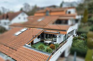 Wohnung mieten in 74177 Bad Friedrichshall, Gut geschnittene Terrassenwohnung in Bad Friedrichshall zu vermieten