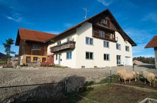 Bauernhaus kaufen in 87487 Wiggensbach, Bauernhaus in herrlicher Alleinlage bei Kempten-Wiggensbach mit Grundzukaufmöglichkeit