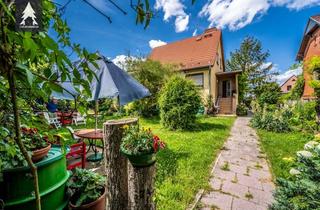 Einfamilienhaus kaufen in Wilhelm-Pieck-Straße 24, 06485 Gernrode, Gemütliches Einfamilienhaus mit Bibliothek und Wintergarten mit idyllischem Gartenblick